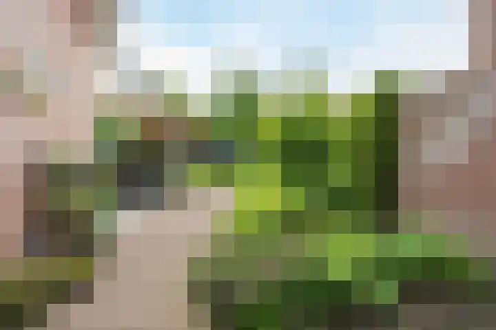 Wolfkampstraat 24 Dalfsen thumbnail 38
