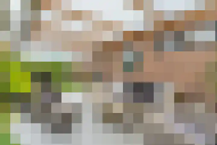 Wolfkampstraat 24 Dalfsen thumbnail 39
