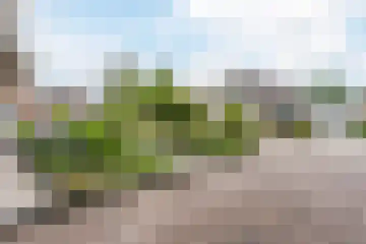 Wolfkampstraat 24 Dalfsen thumbnail 4