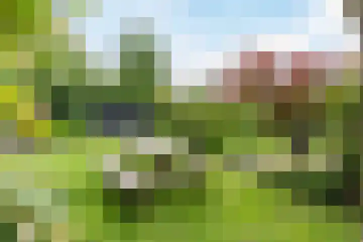 Wolfkampstraat 24 Dalfsen thumbnail 40