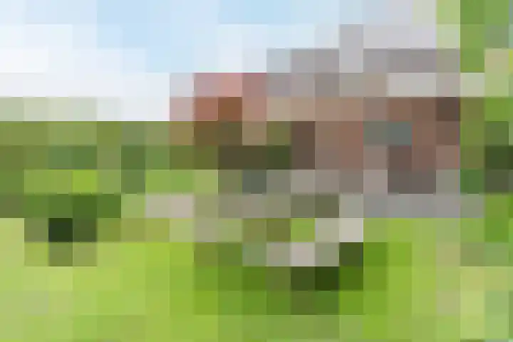 Wolfkampstraat 24 Dalfsen thumbnail 41