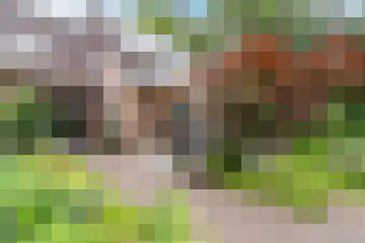 Wolfkampstraat 24 Dalfsen thumbnail 43