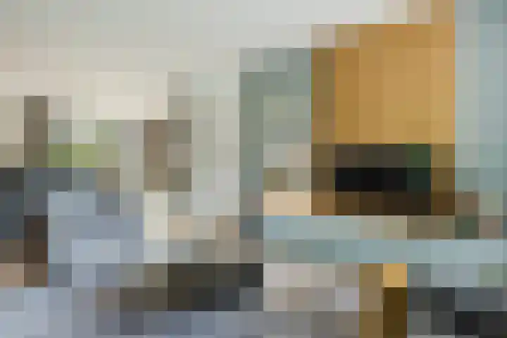 Wolfkampstraat 24 Dalfsen thumbnail 8