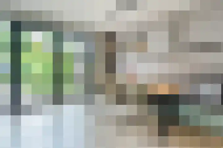 Wolfkampstraat 24 Dalfsen thumbnail 9