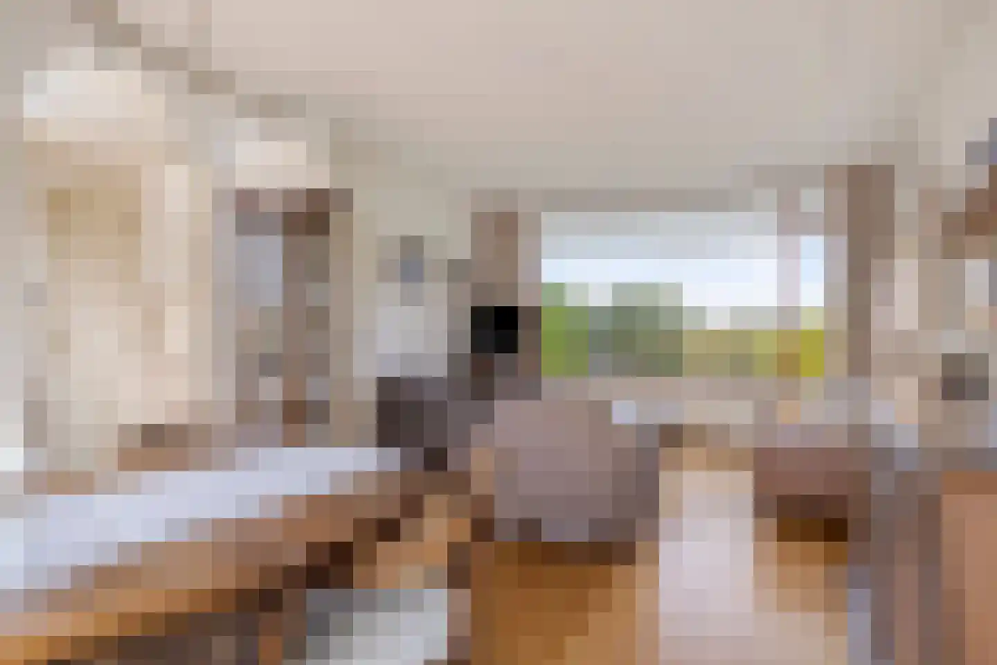 Wolfkaterweg 6 Hengelo thumbnail 16
