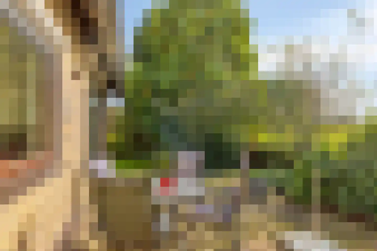 Wolfkaterweg 6 Hengelo thumbnail 23