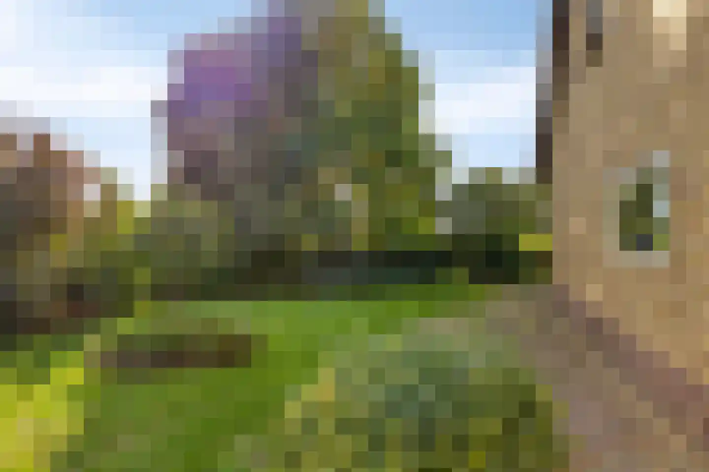 Wolfkaterweg 6 Hengelo thumbnail 27