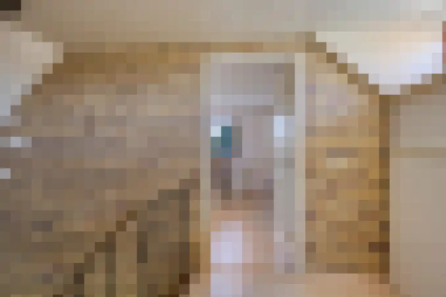 Wolfkaterweg 6 Hengelo thumbnail 36