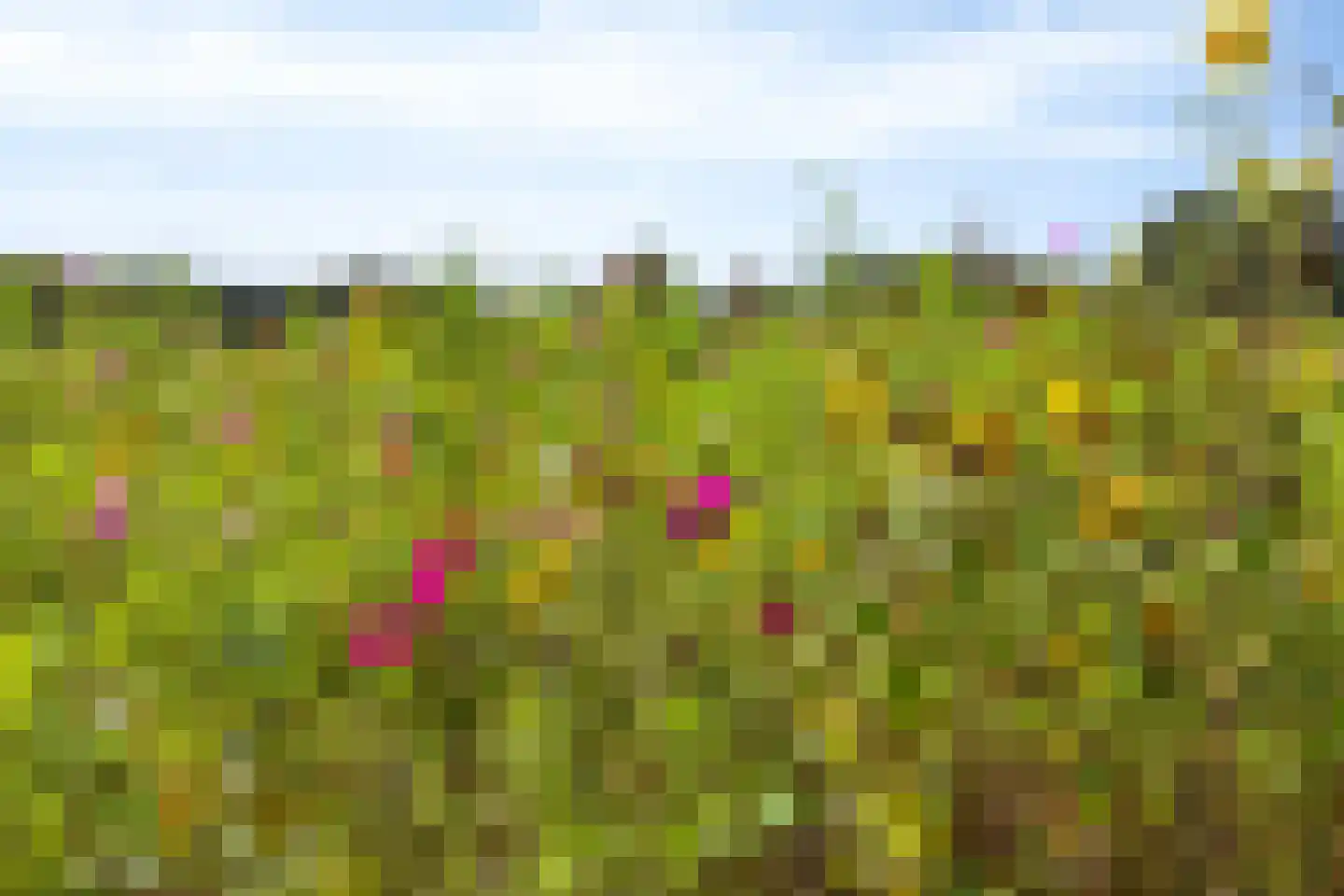 Wolfkaterweg 6 Hengelo thumbnail 43