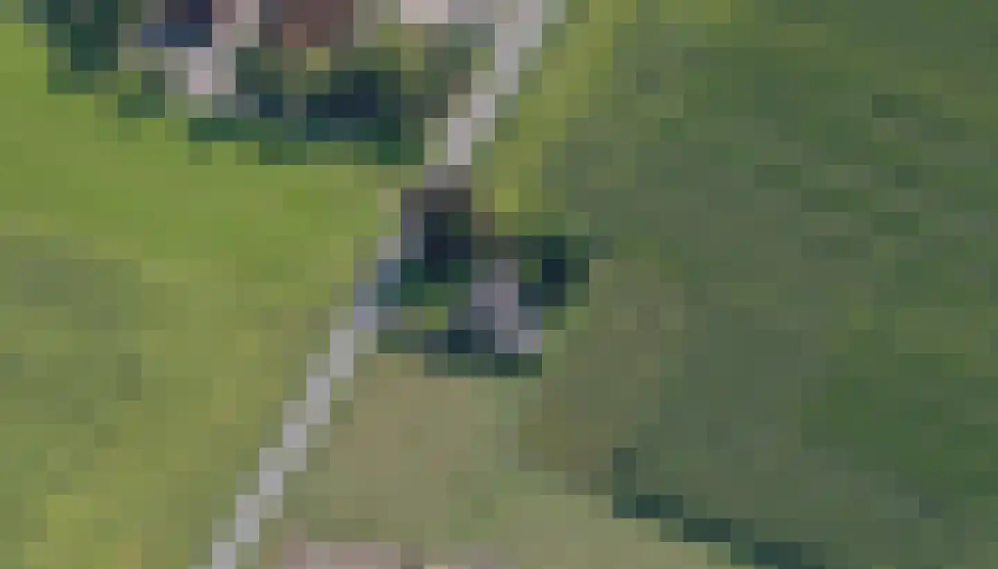 Wolfkaterweg 6 Hengelo thumbnail 45
