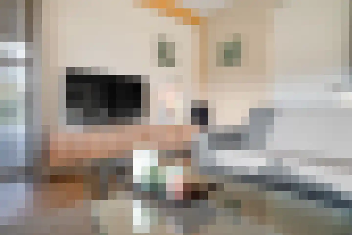 Wolfkaterweg 89 Hengelo thumbnail 11