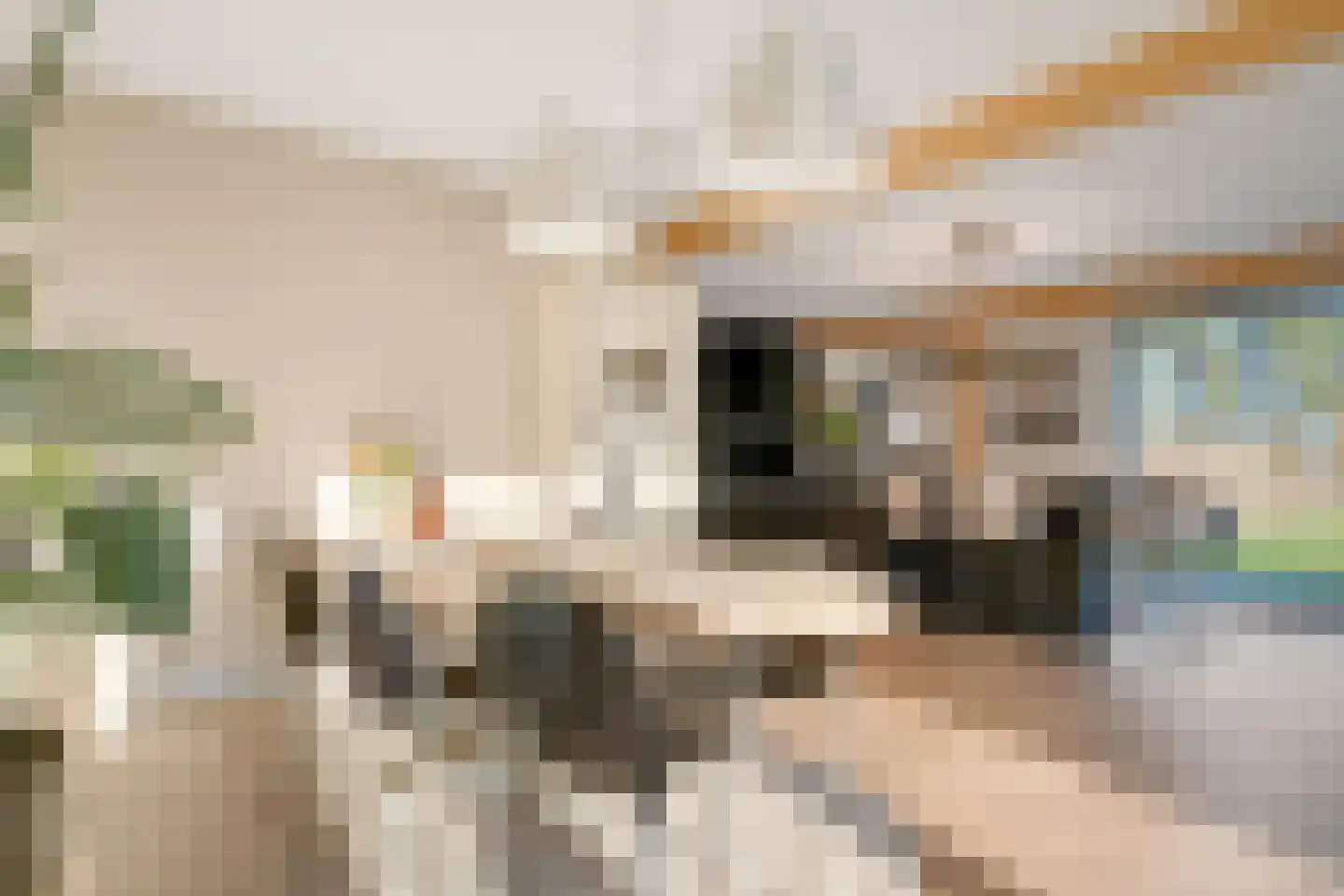 Wolfkaterweg 89 Hengelo thumbnail 13
