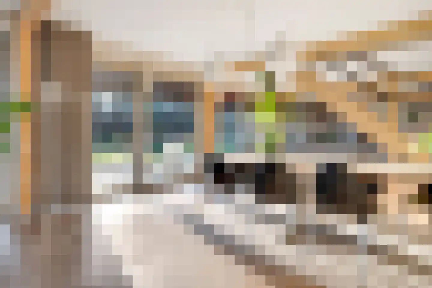 Wolfkaterweg 89 Hengelo thumbnail 14
