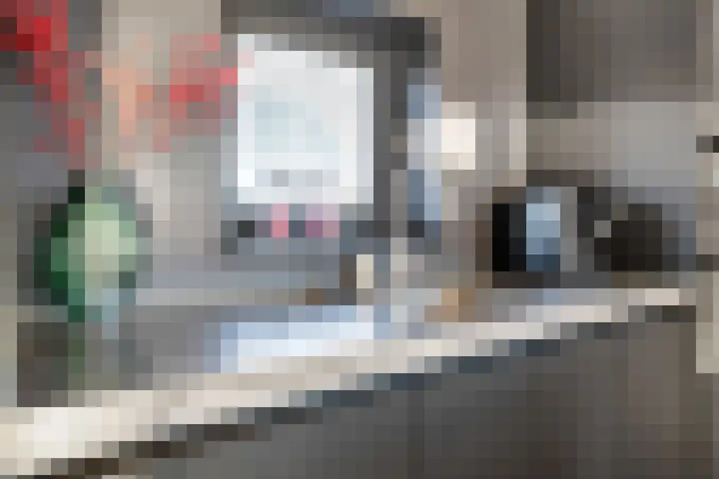 Wolfkaterweg 89 Hengelo thumbnail 17