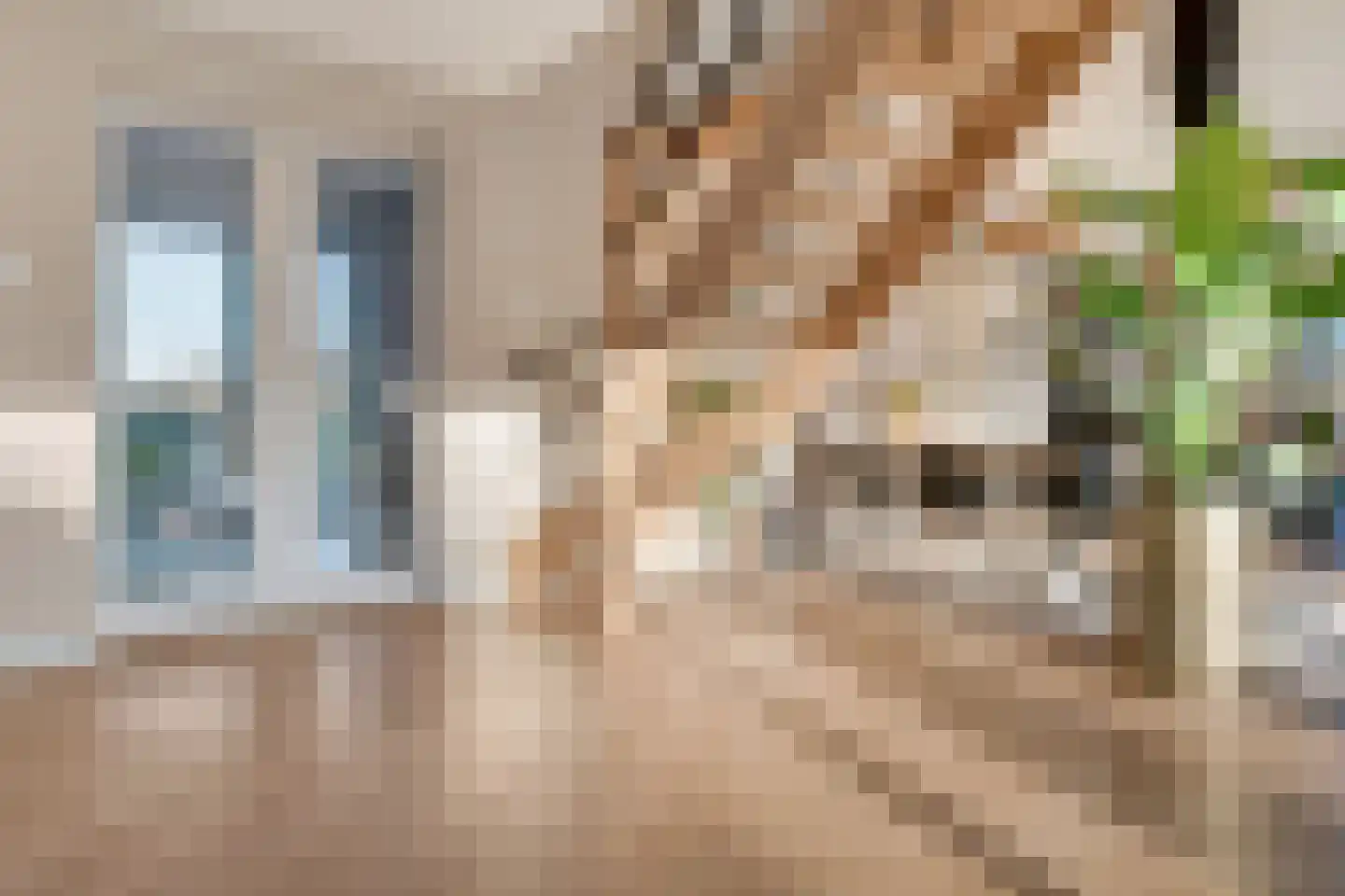 Wolfkaterweg 89 Hengelo thumbnail 18
