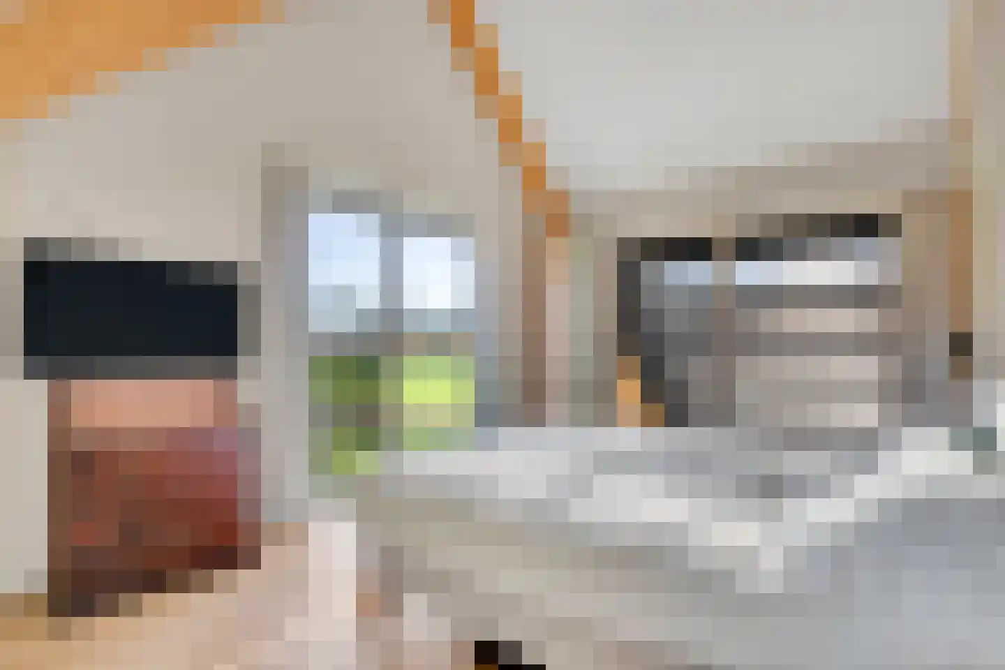 Wolfkaterweg 89 Hengelo thumbnail 26