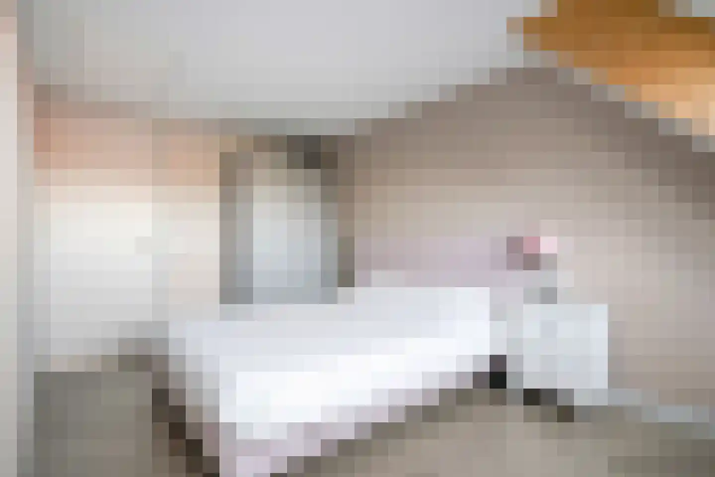 Wolfkaterweg 89 Hengelo thumbnail 35