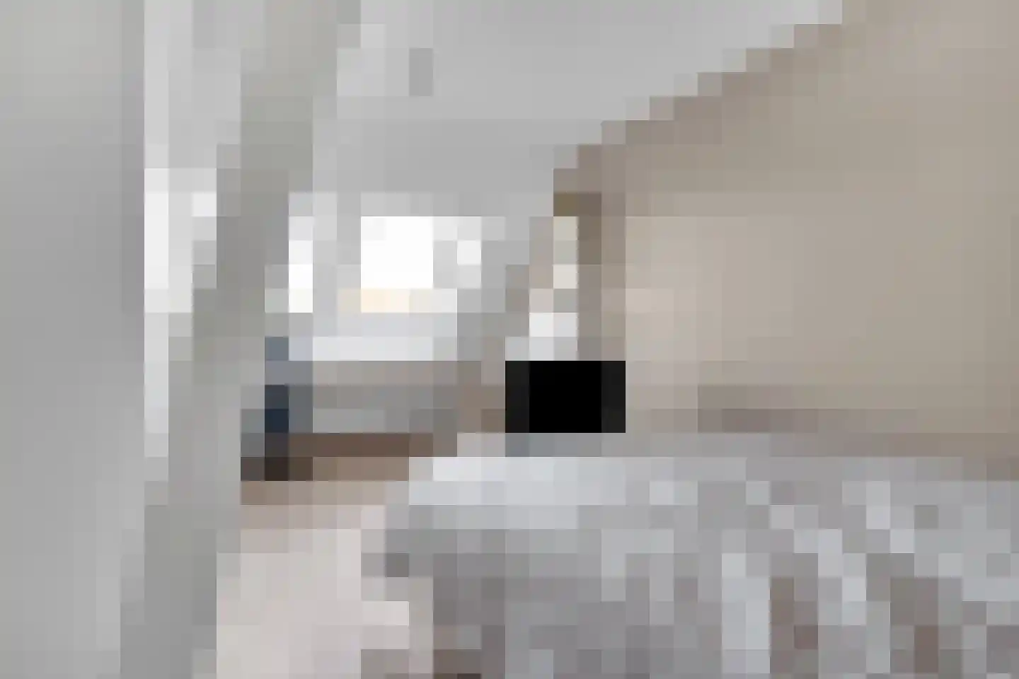 Wolfkaterweg 89 Hengelo thumbnail 38