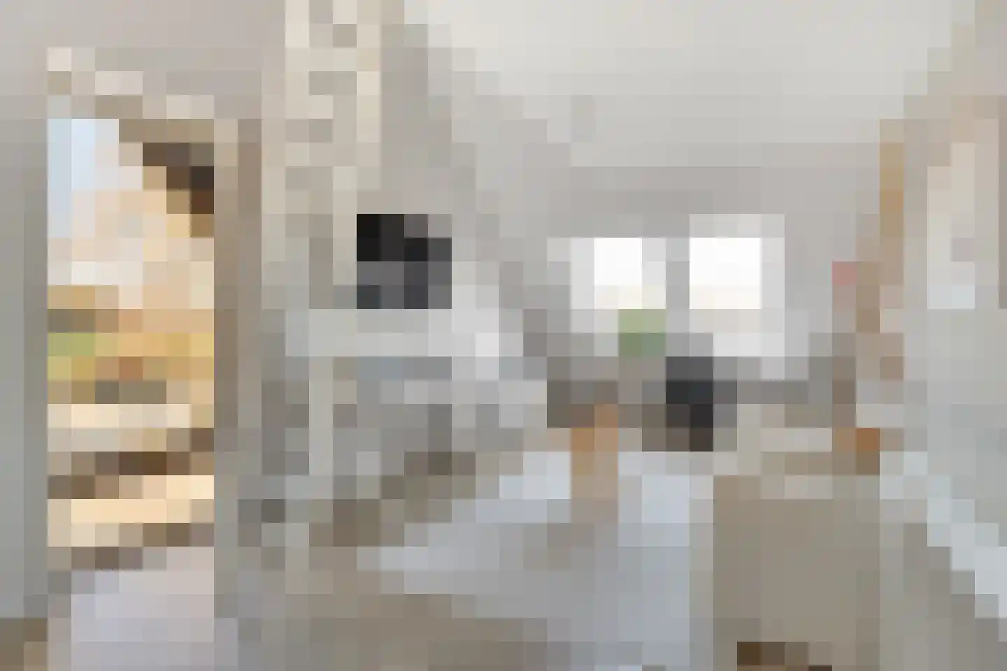 Wolfkaterweg 89 Hengelo thumbnail 39