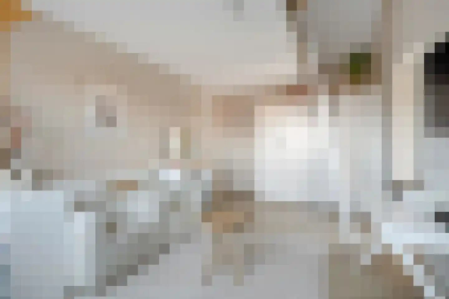 Wolfkaterweg 89 Hengelo thumbnail 40
