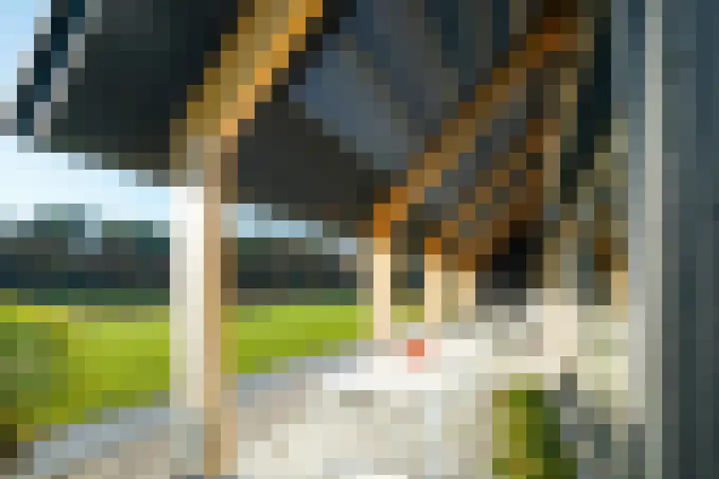 Wolfkaterweg 89 Hengelo thumbnail 46