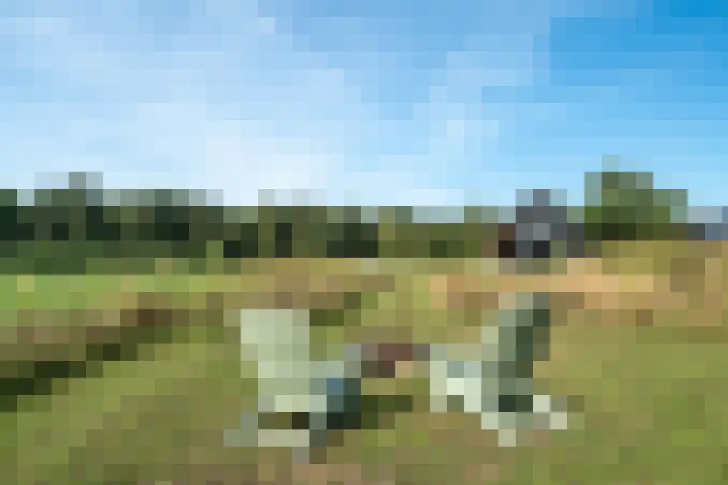 Wolfkaterweg 89 Hengelo thumbnail 53