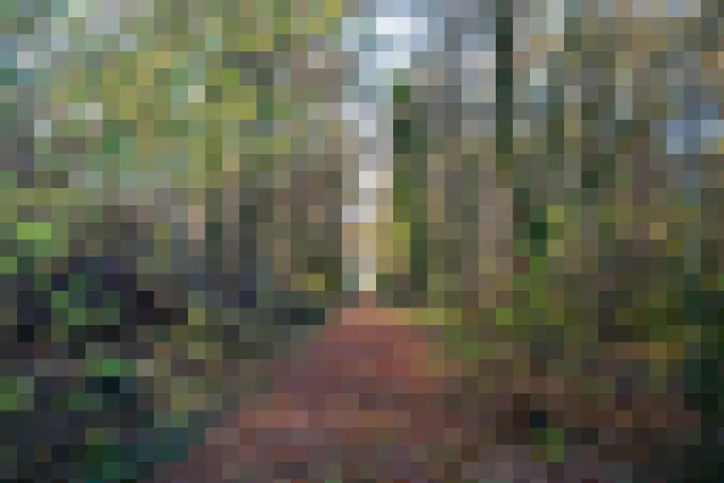 Wolfkaterweg 89 Hengelo thumbnail 55