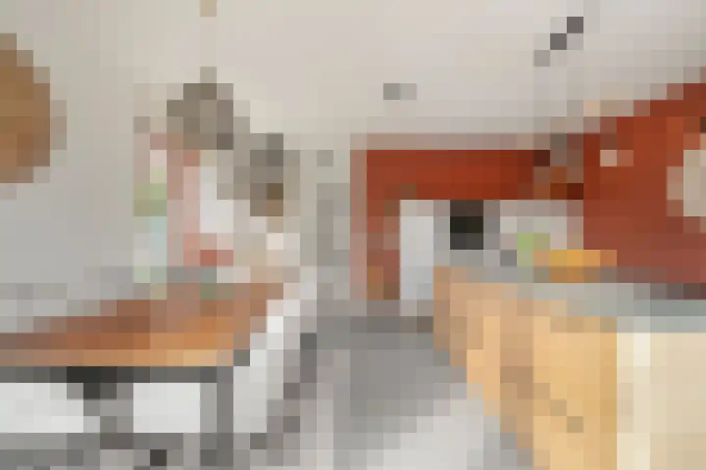 Wolfpad 2 Alkmaar thumbnail 13
