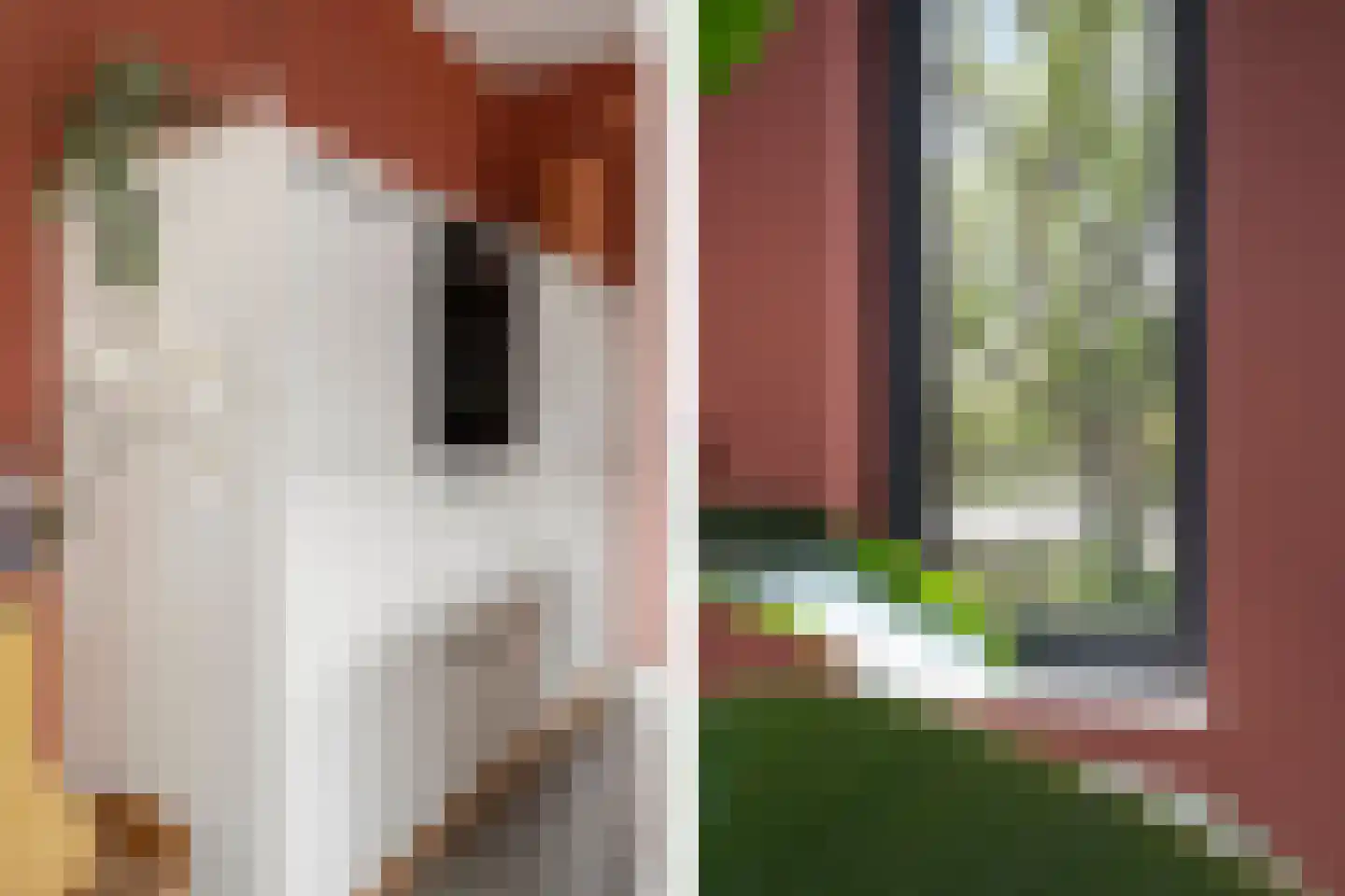 Wolfpad 2 Alkmaar thumbnail 20