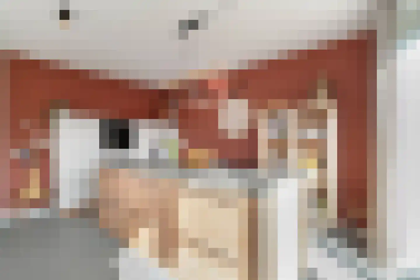 Wolfpad 2 Alkmaar thumbnail 21