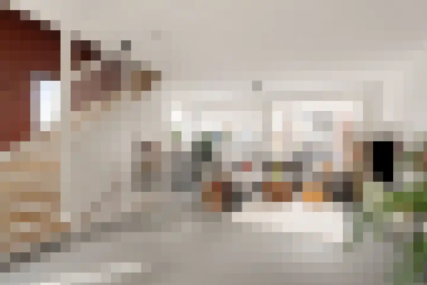 Wolfpad 2 Alkmaar thumbnail 23