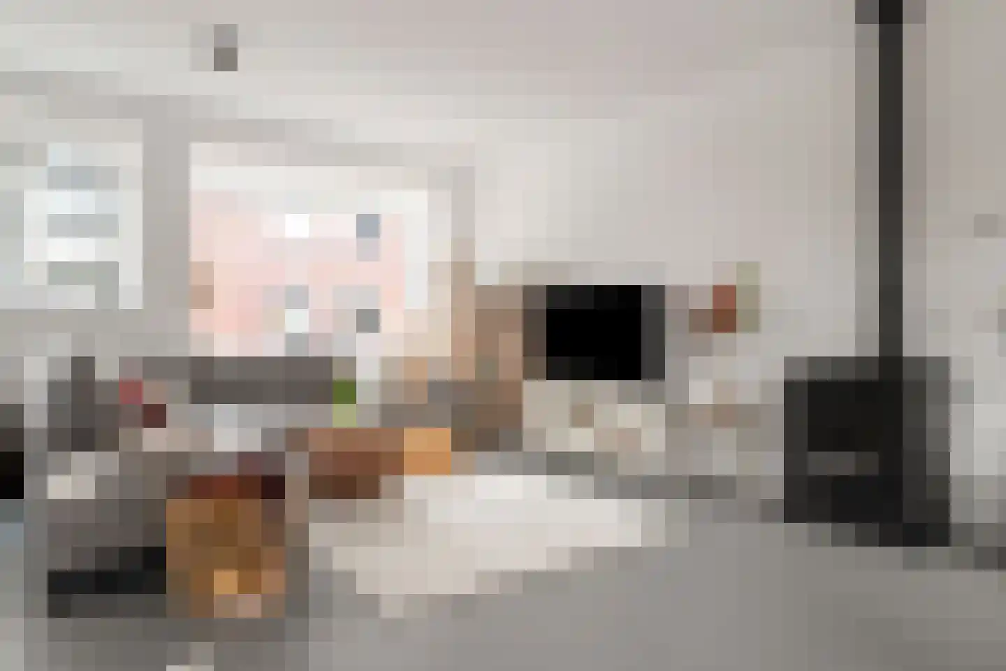 Wolfpad 2 Alkmaar thumbnail 25