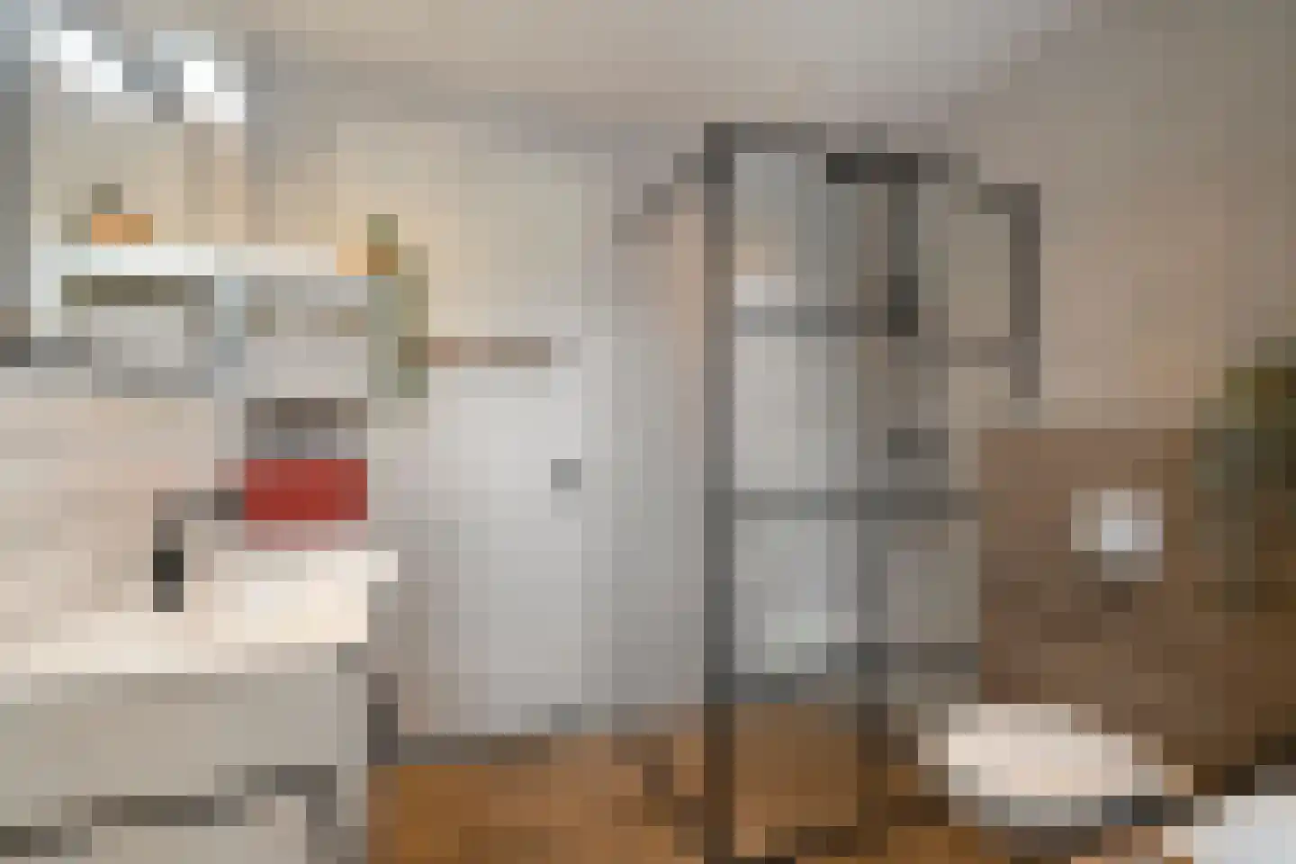 Wolfpad 2 Alkmaar thumbnail 33