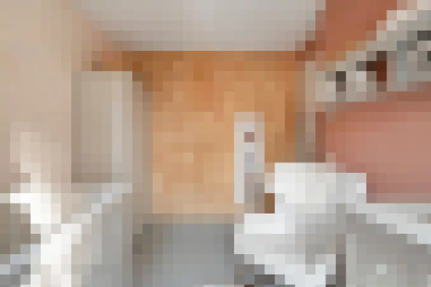 Wolfpad 2 Alkmaar thumbnail 36