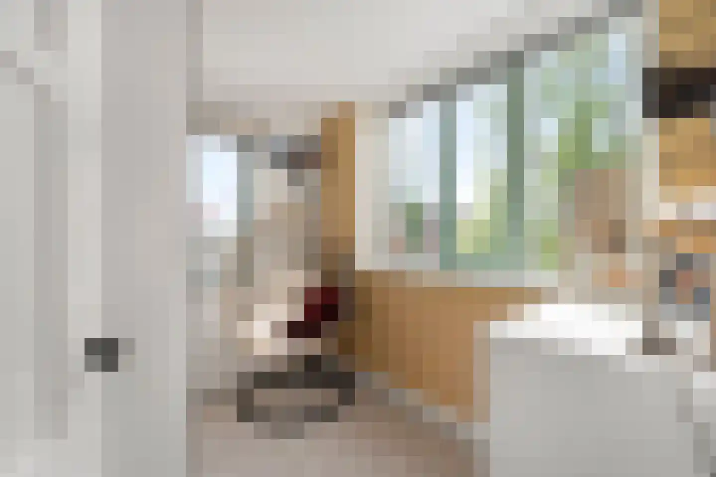 Wolfpad 2 Alkmaar thumbnail 37