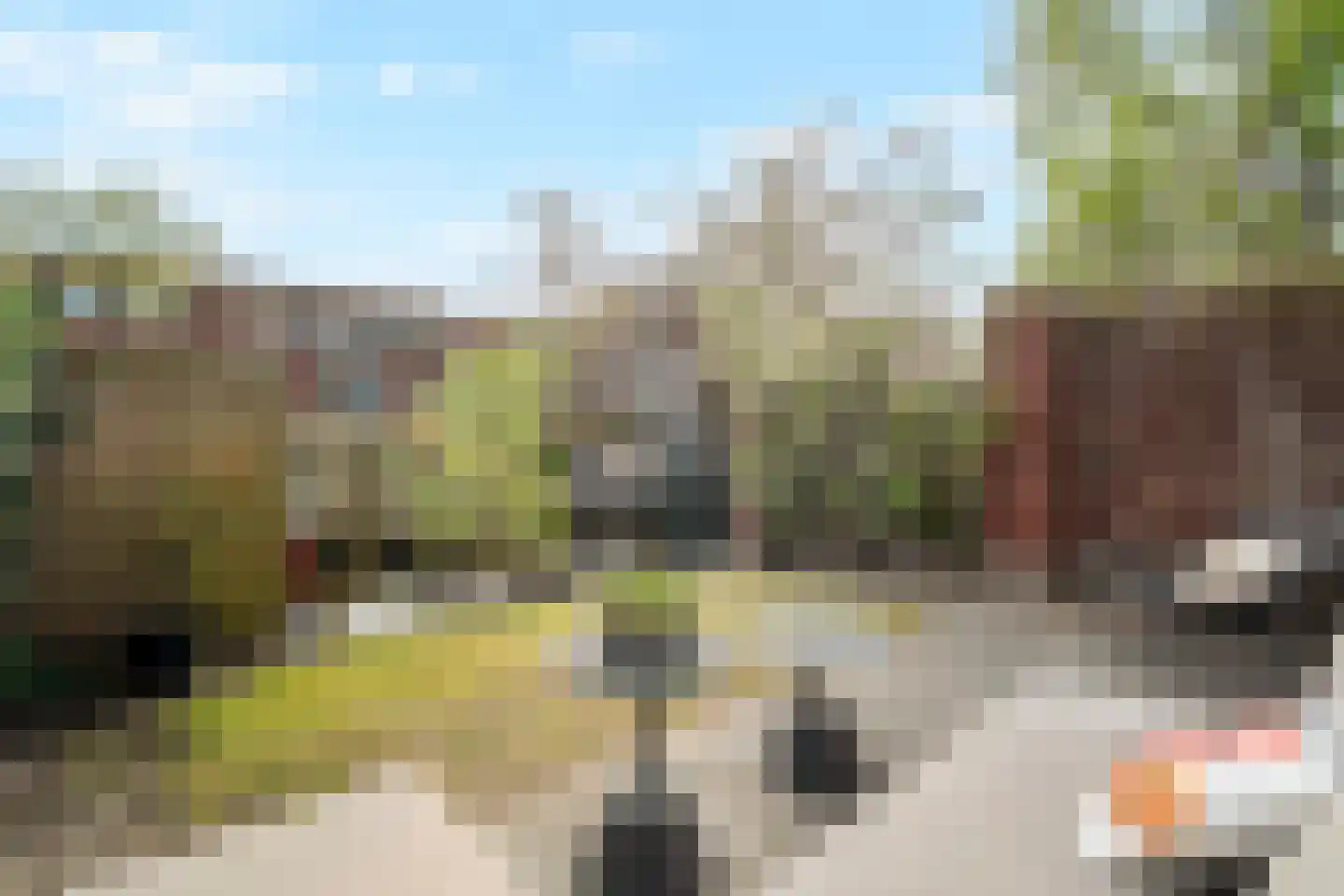 Wolfpad 2 Alkmaar thumbnail 4