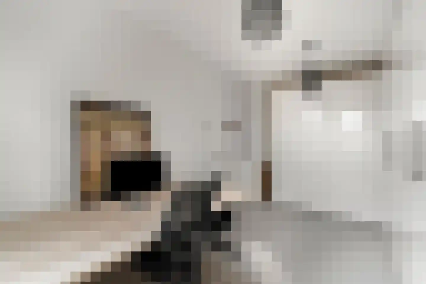 Wolfpad 2 Alkmaar thumbnail 42