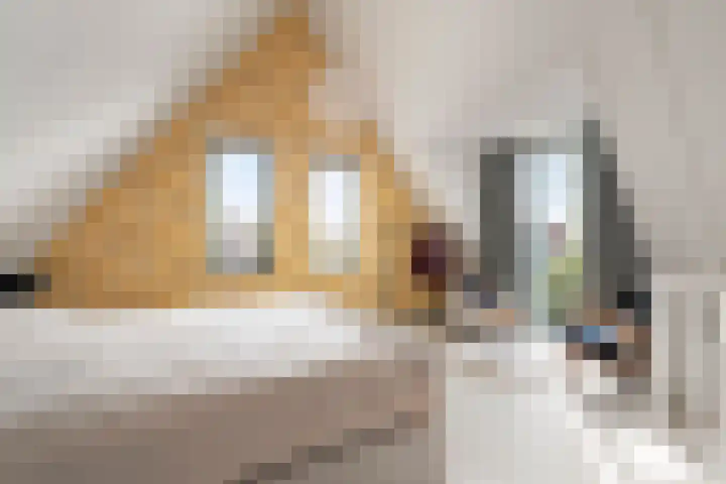 Wolfpad 2 Alkmaar thumbnail 45
