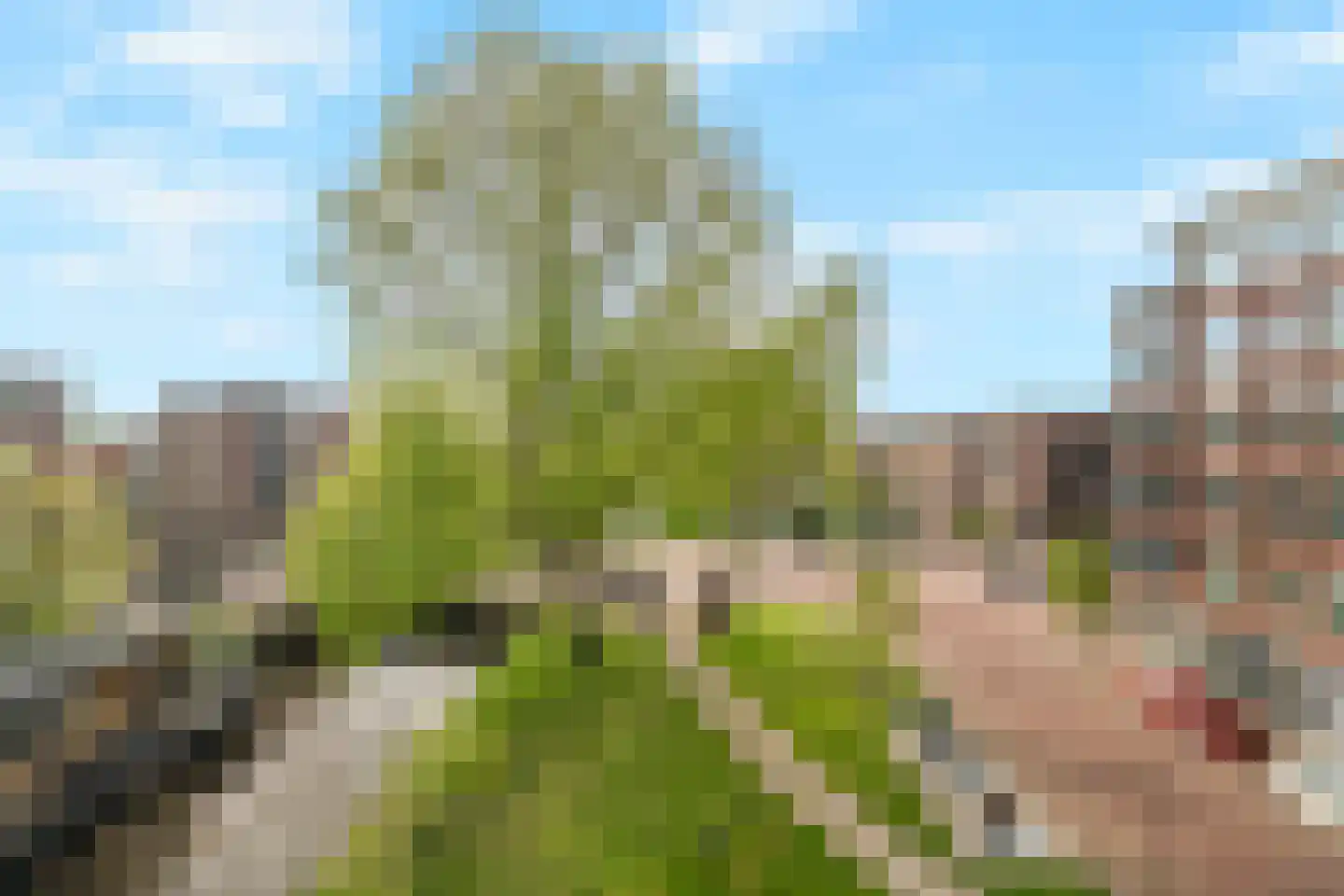 Wolfpad 2 Alkmaar thumbnail 47