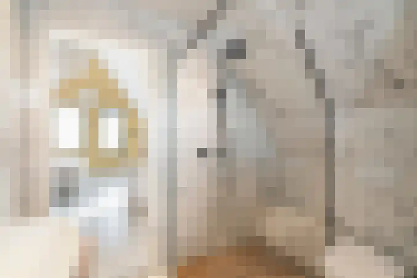 Wolfpad 2 Alkmaar thumbnail 49