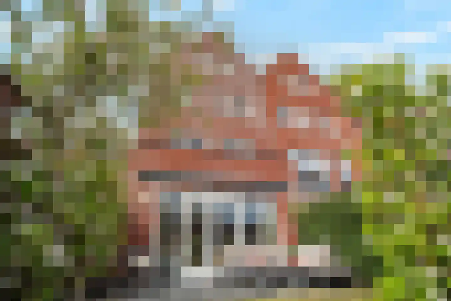 Wolfpad 2 Alkmaar thumbnail 5