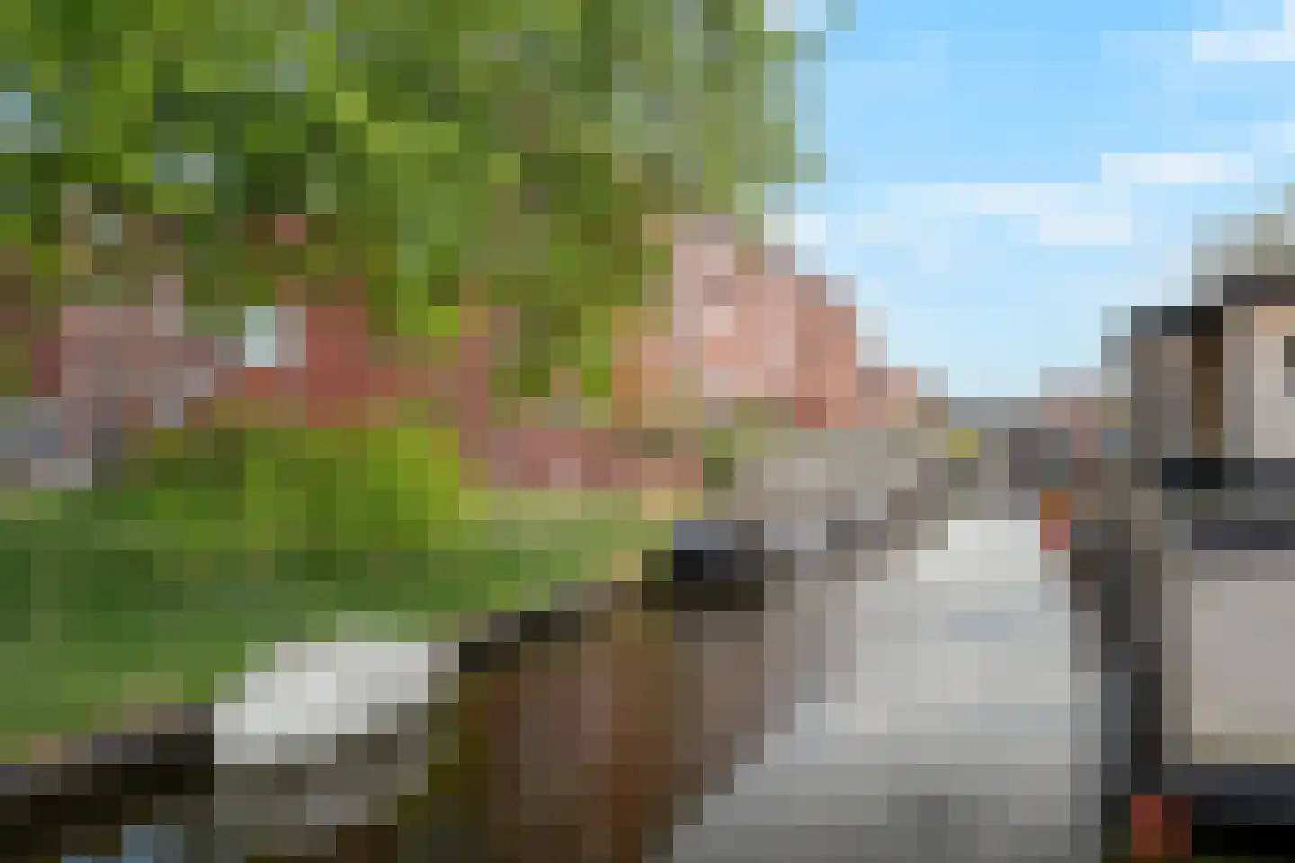 Wolfpad 2 Alkmaar thumbnail 57
