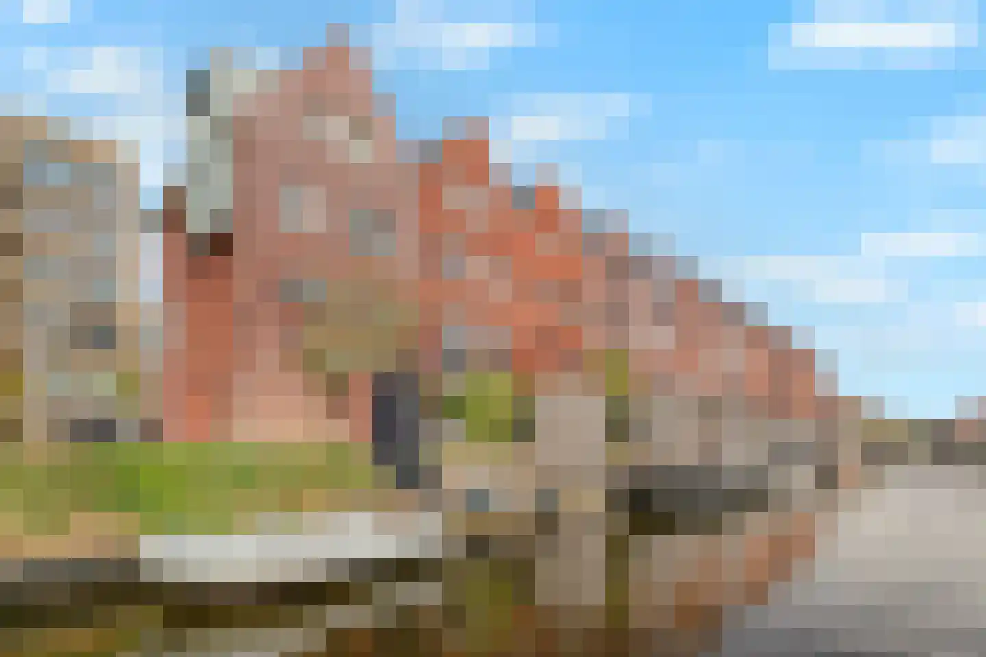 Wolfpad 2 Alkmaar thumbnail 58