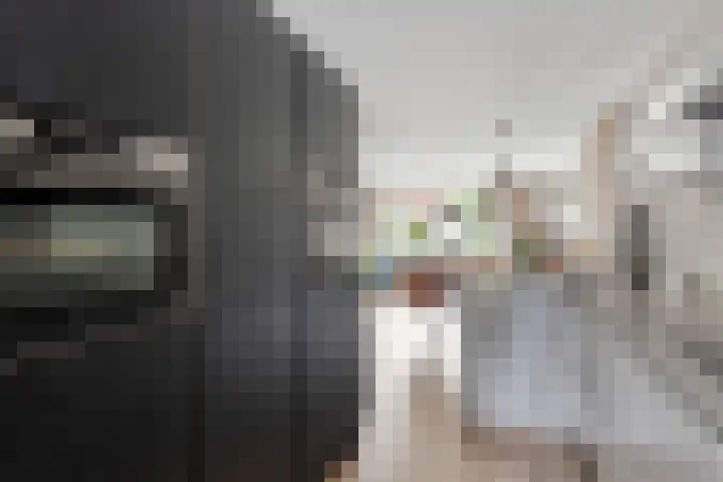 Wolfpad 34 Alkmaar thumbnail 10