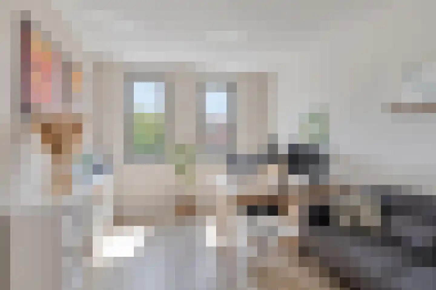 Wolfpad 34 Alkmaar thumbnail 15