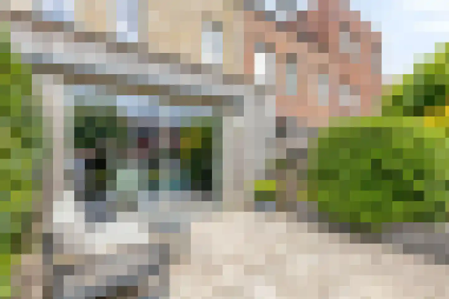 Wolfpad 34 Alkmaar thumbnail 24