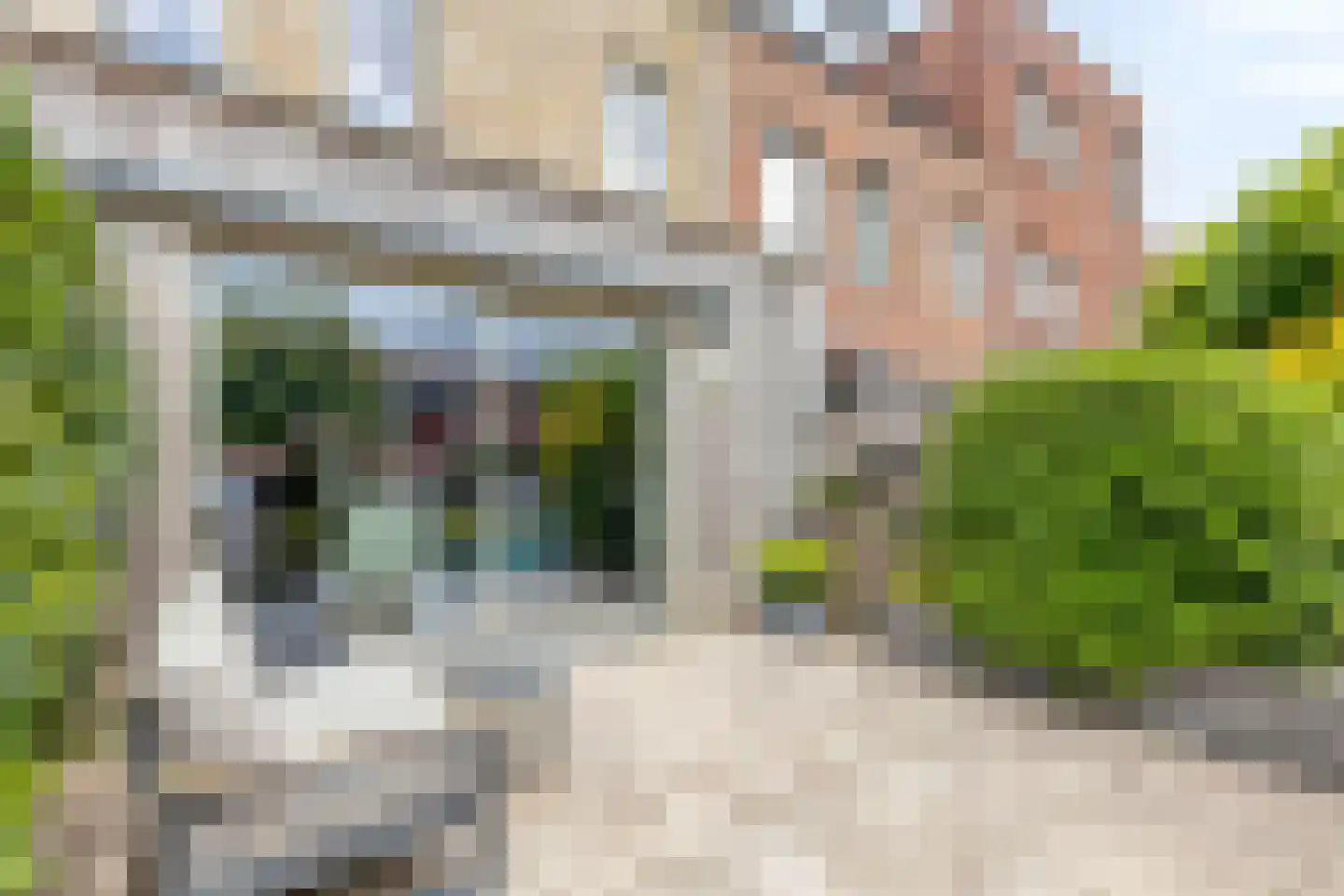 Wolfpad 34 Alkmaar thumbnail 25