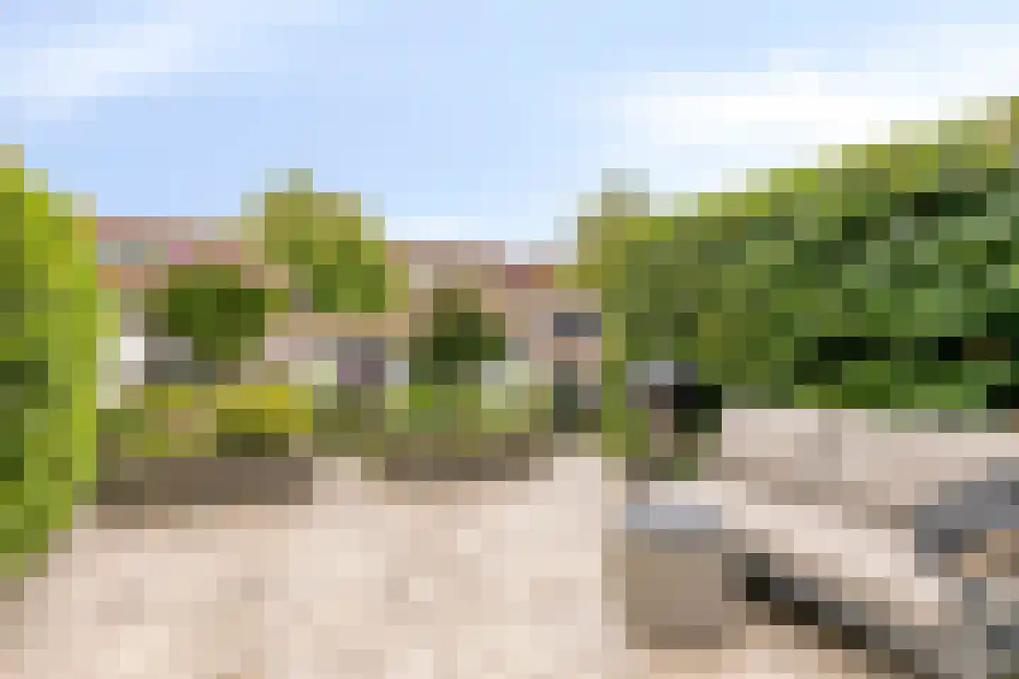 Wolfpad 34 Alkmaar thumbnail 26