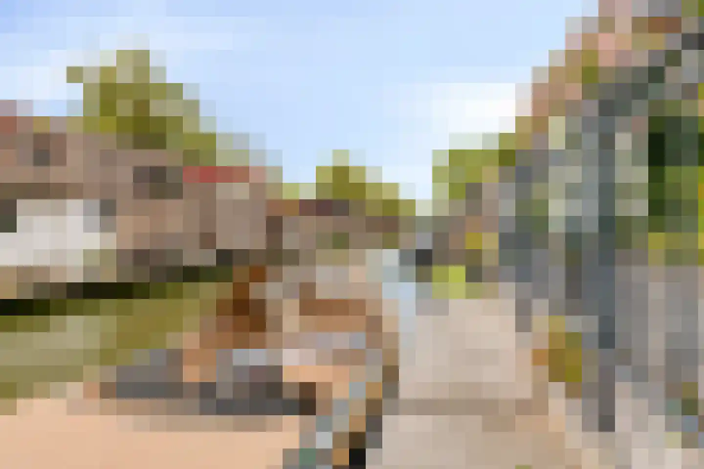 Wolfpad 34 Alkmaar thumbnail 27