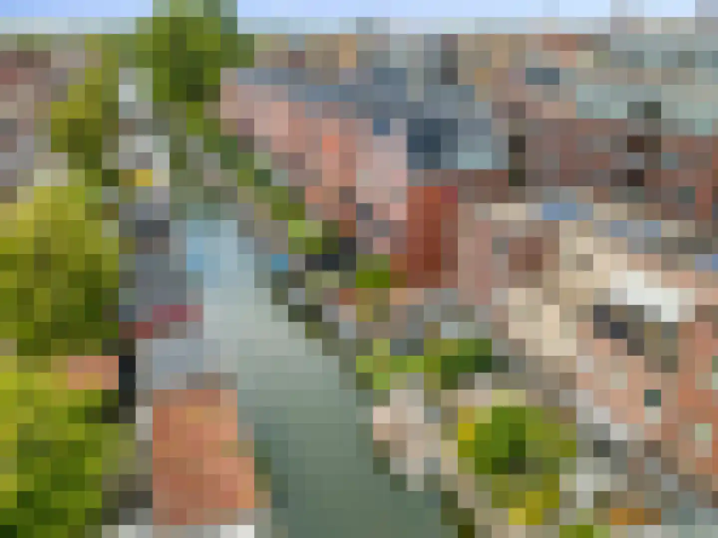 Wolfpad 34 Alkmaar thumbnail 31